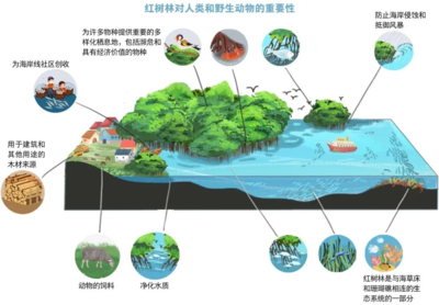 世界海洋日 | 保護海洋生態(tài)系統(tǒng)，人與自然和諧共生
