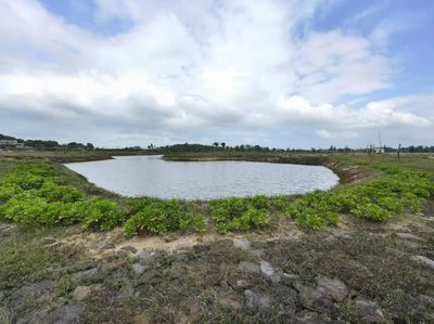 2024年海南省自然資源和規(guī)劃工作答卷 自然生態(tài)系統(tǒng)保護管理成效顯著