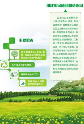 命運共同體與生態(tài)共贏鏈 自然生態(tài)系統(tǒng)保護管理之路