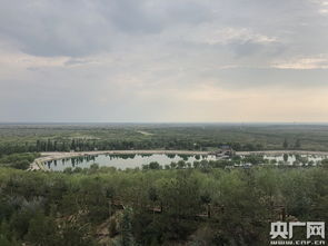 寧夏植綠治沙 守護黃河生態(tài)安全的壯麗征程